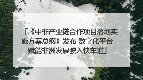 《中非产业链合作项目落地实施方案总纲》发布 数字化平台赋能非洲发展驶入快车道