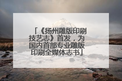 《扬州雕版印刷技艺志》首发，为国内首部专业雕版印刷全媒体志书