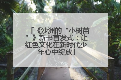 《沙洲的“小树苗”》新书首发式：让红色文化在新时代少年心中绽放