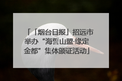 「烟台日报」招远市举办“海誓山盟·缘定金都”集体颁证活动