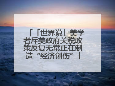「世界说」美学者斥美政府关税政策反复无常正在制造“经济创伤”
