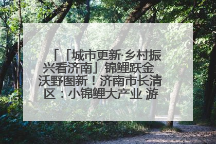 「城市更新·乡村振兴看济南」锦鲤跃金 沃野图新！济南市长清区：小锦鲤大产业 游出农旅新风景