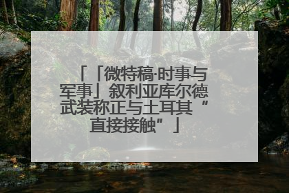 「微特稿·时事与军事」叙利亚库尔德武装称正与土耳其“直接接触”