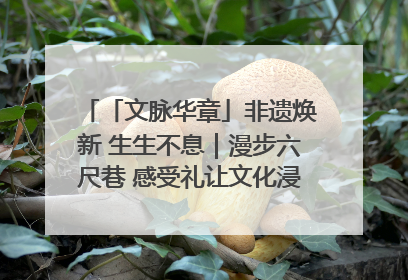 「文脉华章」非遗焕新 生生不息｜漫步六尺巷 感受礼让文化浸润的“巷”往生活