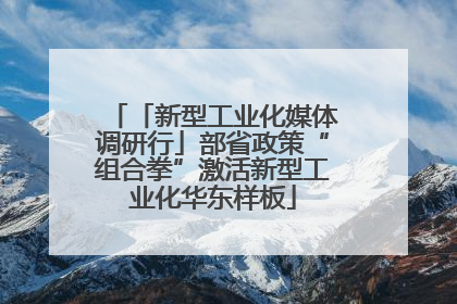 「新型工业化媒体调研行」部省政策“组合拳”激活新型工业化华东样板
