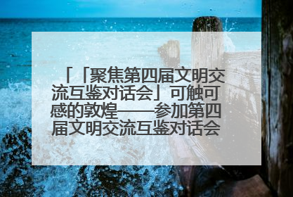 「聚焦第四届文明交流互鉴对话会」可触可感的敦煌——参加第四届文明交流互鉴对话会的外宾参观上元市集