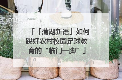 「蒲湖新语」如何踢好农村校园足球教育的“临门一脚”