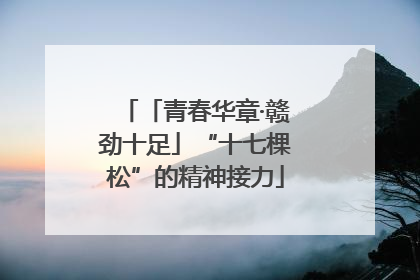 「青春华章·赣劲十足」“十七棵松”的精神接力