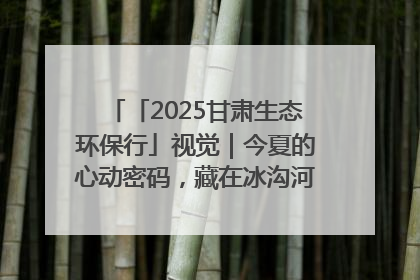 「2025甘肃生态环保行」视觉｜今夏的心动密码，藏在冰沟河的潋滟波光里