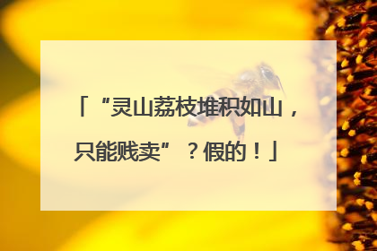“灵山荔枝堆积如山，只能贱卖”？假的！