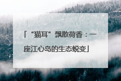 “猫耳”飘散荷香：一座江心岛的生态蜕变