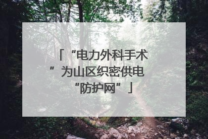 “电力外科手术”为山区织密供电“防护网”