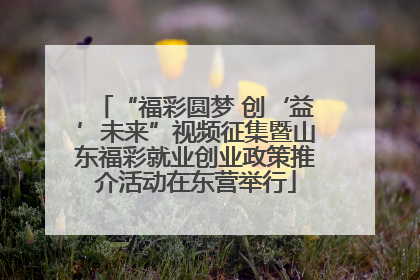 “福彩圆梦 创‘益’未来”视频征集暨山东福彩就业创业政策推介活动在东营举行