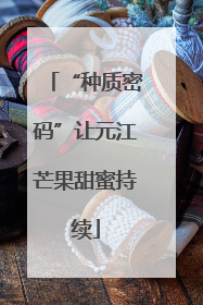 “种质密码”让元江芒果甜蜜持续