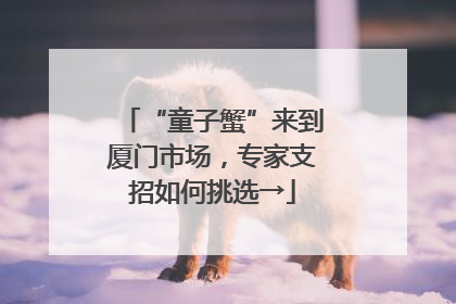 “童子蟹”来到厦门市场，专家支招如何挑选→
