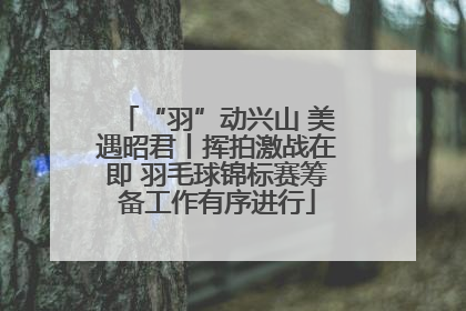 “羽”动兴山 美遇昭君丨挥拍激战在即 羽毛球锦标赛筹备工作有序进行