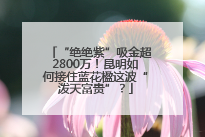 “绝绝紫”吸金超2800万！昆明如何接住蓝花楹这波“泼天富贵”？