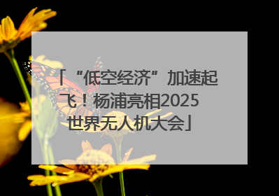 “低空经济”加速起飞！杨浦亮相2025世界无人机大会