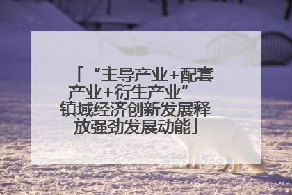 “主导产业+配套产业+衍生产业” 镇域经济创新发展释放强劲发展动能
