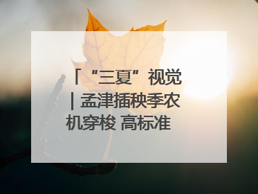 “三夏”视觉｜孟津插秧季农机穿梭 高标准农田披绿装