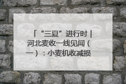 “三夏”进行时｜河北麦收一线见闻（一）：小麦机收减损“竞技” 农机高手麦田“过招”