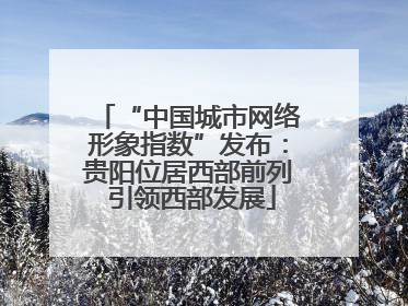 “中国城市网络形象指数”发布：贵阳位居西部前列 引领西部发展