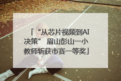 “从芯片视频到AI决策” 眉山彭山一小教师斩获市赛一等奖