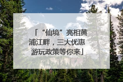 “仙境”亮相黄浦江畔，三大优惠游玩政策等你来