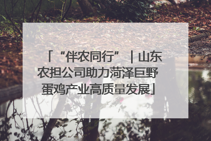“伴农同行”｜山东农担公司助力菏泽巨野蛋鸡产业高质量发展