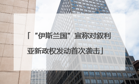 “伊斯兰国”宣称对叙利亚新政权发动首次袭击