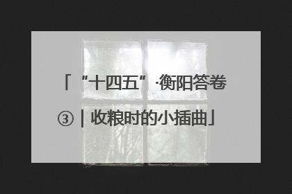 “十四五”·衡阳答卷③｜收粮时的小插曲