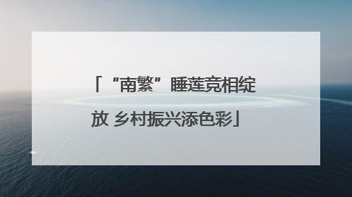 “南繁”睡莲竞相绽放 乡村振兴添色彩
