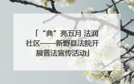 “典”亮五月 法润社区——新野县法院开展普法宣传活动