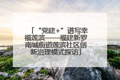 “党建+”谱写幸福莲滨——福建新罗南城街道莲滨社区创新治理模式探访
