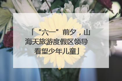 “六一”前夕，山海天旅游度假区领导看望少年儿童