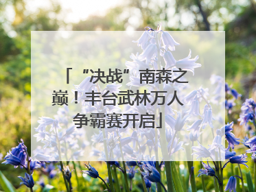 “决战”南森之巅！丰台武林万人争霸赛开启