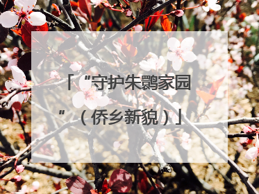 “守护朱鹮家园”（侨乡新貌）