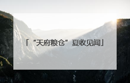 “天府粮仓”夏收见闻