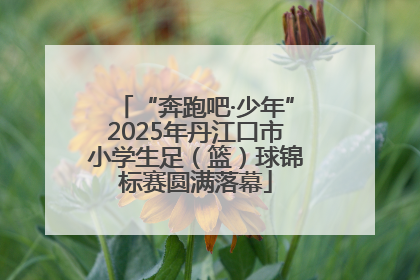 “奔跑吧·少年”2025年丹江口市小学生足（篮）球锦标赛圆满落幕
