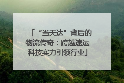 “当天达”背后的物流传奇：跨越速运科技实力引领行业
