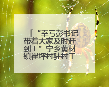 “幸亏彭书记带着大家及时赶到！”宁乡黄材镇崔坪村驻村工作队救助中暑村民