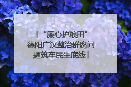 “廉心护粮田” 德阳广汉整治群腐问题筑牢民生底线