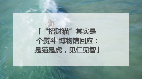“招财猫”其实是一个熨斗 博物馆回应：是猫是虎，见仁见智