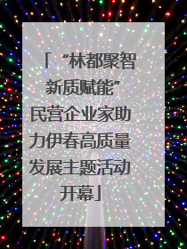 “林都聚智 新质赋能”民营企业家助力伊春高质量发展主题活动开幕