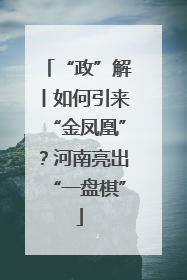 “政”解丨如何引来“金凤凰”？河南亮出“一盘棋”