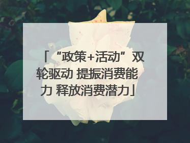 “政策+活动”双轮驱动 提振消费能力 释放消费潜力