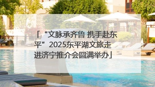 “文脉承齐鲁 携手赴东平”2025东平湖文旅走进济宁推介会圆满举办