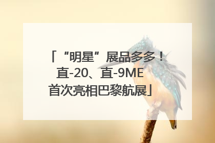 “明星”展品多多！直-20、直-9ME首次亮相巴黎航展