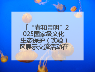 “春和景明”2025国家级文化生态保护（实验）区展示交流活动在洛举办