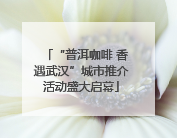 “普洱咖啡 香遇武汉”城市推介活动盛大启幕